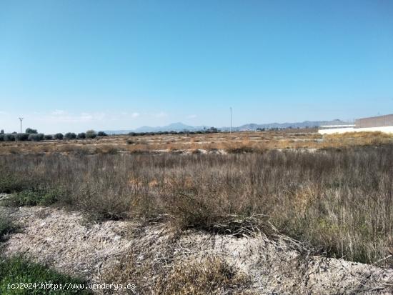 TERRENO DE MAS DE 15.000 M2 JUNTO A CAMINO VIEJO DE LORCA - MURCIA