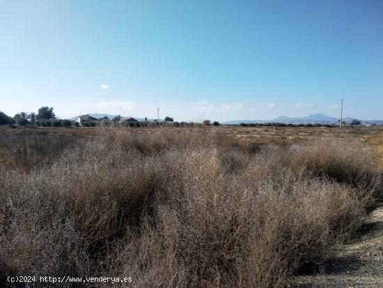 TERRENO DE MAS DE 15.000 M2 JUNTO A CAMINO VIEJO DE LORCA - MURCIA