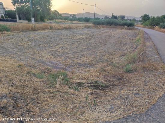 PARCELA CON ACCESO POR CARRETERA JUNTO A LA ESTACION DE PUERTO LUMBRERAS - MURCIA