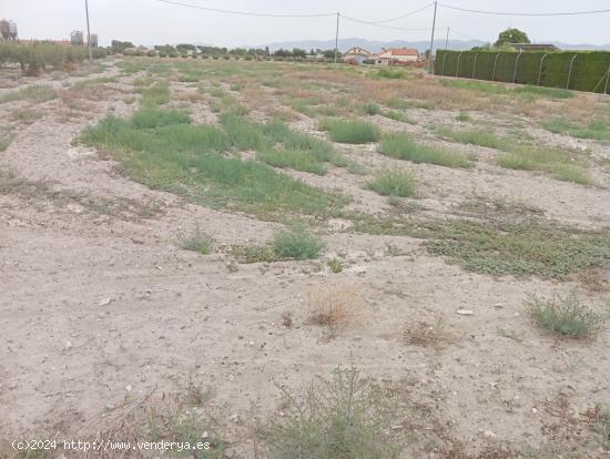 PARCELA CON ACCESO POR CARRETERA JUNTO A LA ESTACION DE PUERTO LUMBRERAS - MURCIA