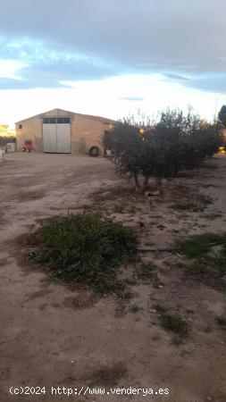 CHALET INDEPENDIENTE CON TERRENO Y ALMACENES JUNTO A LA ESTACIÓN DE PUERTO LUMBRERAS - MURCIA