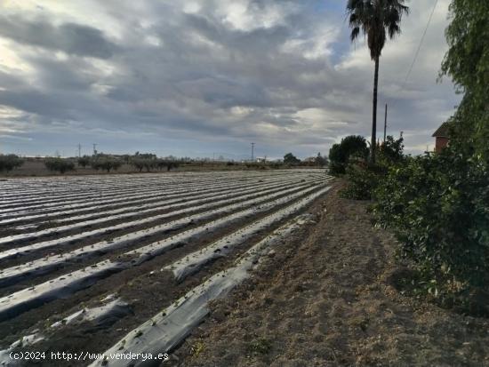 CHALET INDEPENDIENTE CON TERRENO Y ALMACENES JUNTO A LA ESTACIÓN DE PUERTO LUMBRERAS - MURCIA