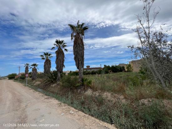  TERRENO URBANO RESIDENCIAL EN DELTEBRE - TARRAGONA 