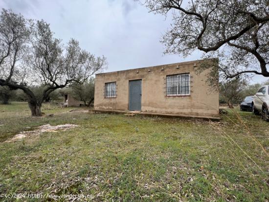 FINCA RÚSTICA CON CASA - TARRAGONA