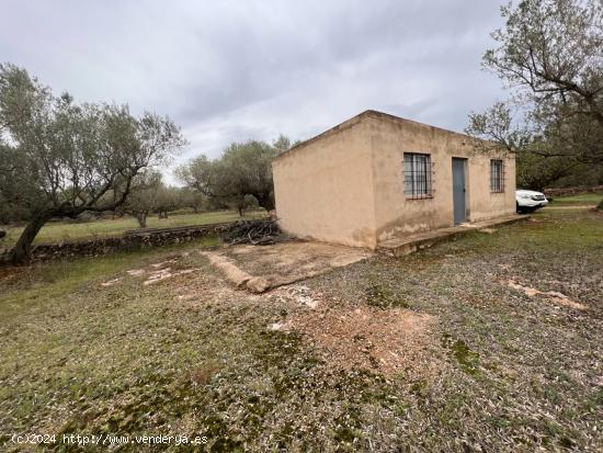 FINCA RÚSTICA CON CASA - TARRAGONA