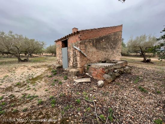 FINCA RÚSTICA EN ROQUETES. - TARRAGONA