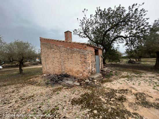 FINCA RÚSTICA EN ROQUETES. - TARRAGONA