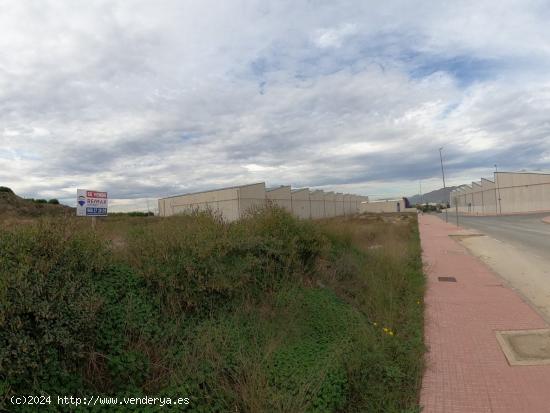 Terreno industrial en P.I. El Mojón (Beniel) - MURCIA