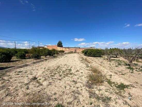 TERRENO URBANO EN LOS GARRES (MURCIA) - MURCIA