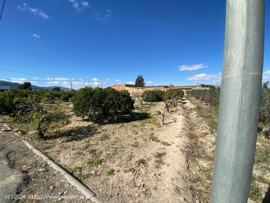 TERRENO URBANO EN LOS GARRES (MURCIA) - MURCIA