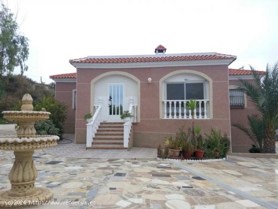 Chalet en parcela de 5.000 ms con olivos y pinos - MURCIA