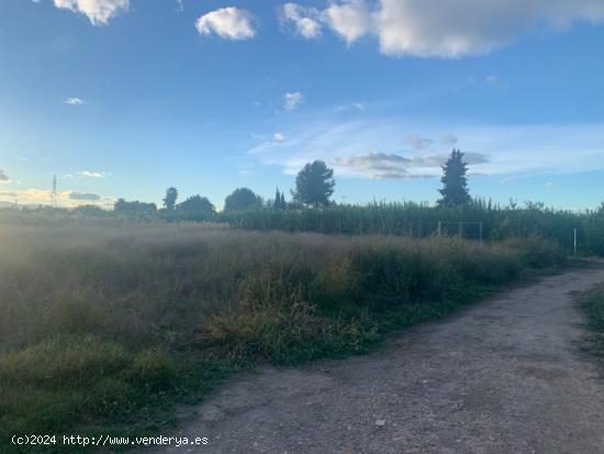 Parcela urbanizable en la huerta de Murcia - MURCIA