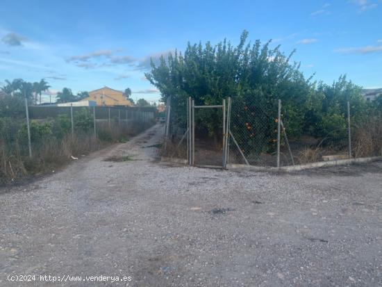 Parcela urbanizable en la huerta de Murcia - MURCIA