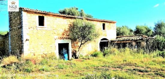 FINCA RÚSTICA BINISSALEM. 44.000 M2 PARC. CASA 130 M2 A REFORMAR. POZO AGUA VENA. 479.000 € - BAL