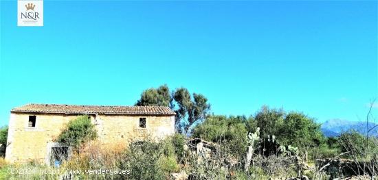 FINCA RÚSTICA BINISSALEM. 44.000 M2 PARC. CASA 130 M2 A REFORMAR. POZO AGUA VENA. 479.000 € - BAL