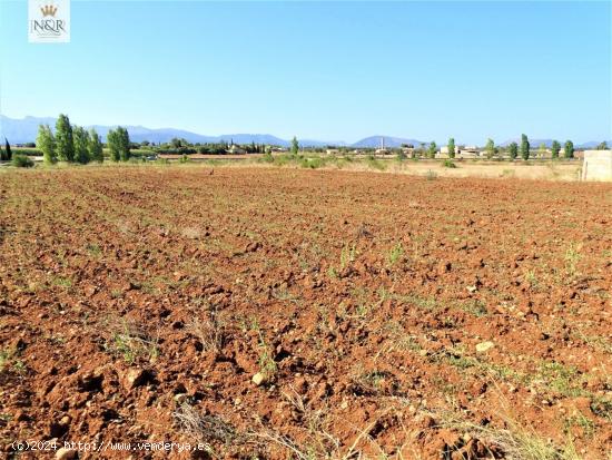 FINCA RÚSTICA EN LLUBÍ CON  AGUA - BALEARES