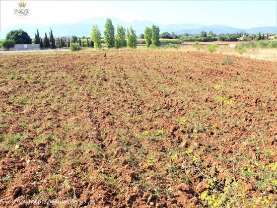 FINCA RÚSTICA EN LLUBÍ CON  AGUA - BALEARES