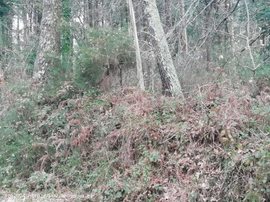 Terreno en Buxán - Coristanco - A CORUÑA