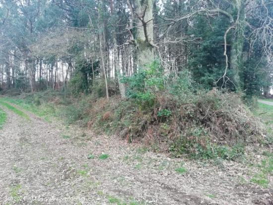 Terreno en Buxán - Coristanco - A CORUÑA