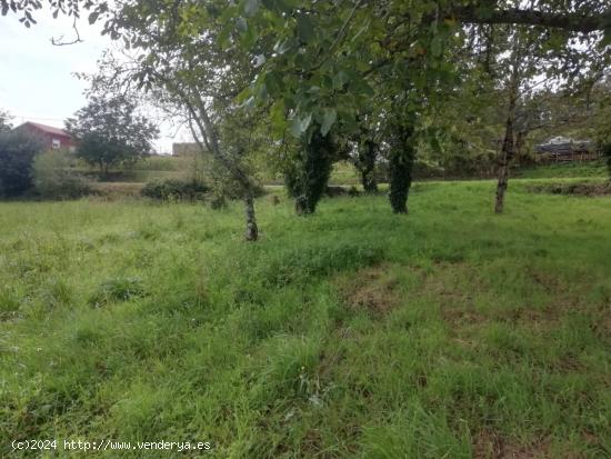 Terreno Urbano en Pedrouzo-Coristanco - A CORUÑA