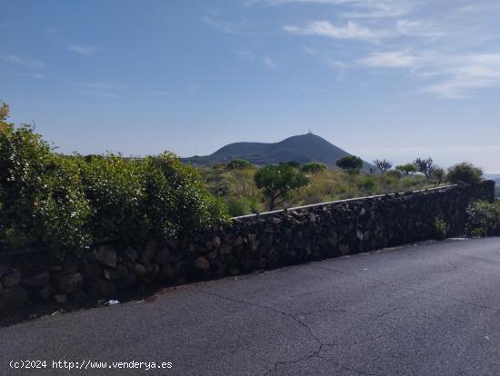 Terreno Agrícola en Viña Vieja - SANTA CRUZ DE TENERIFE