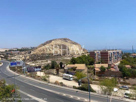 Se Alquila en Alicante - ALICANTE