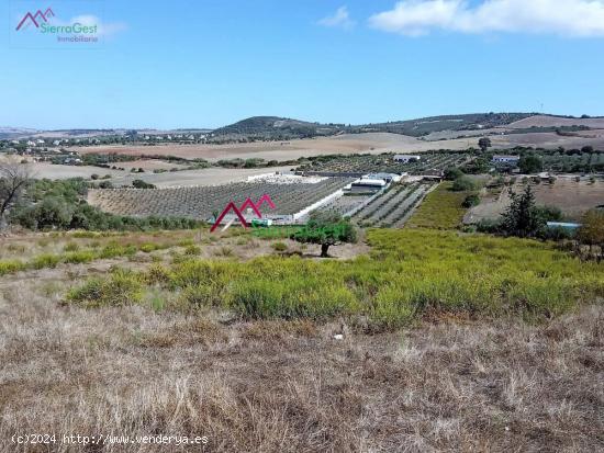  VENTA PARCELA ARCOS DE LA FRA. - CADIZ 