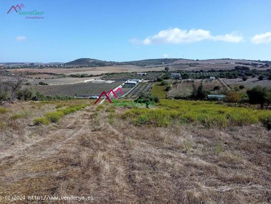 VENTA PARCELA ARCOS DE LA FRA. - CADIZ