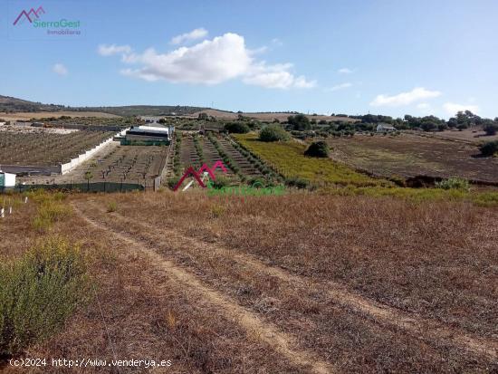 VENTA PARCELA ARCOS DE LA FRA. - CADIZ