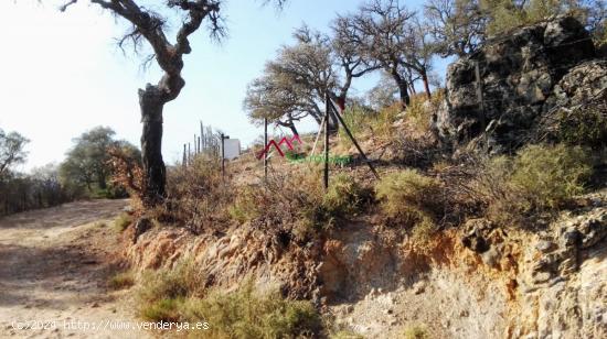 VENTA PARCELA ALREDEDORES UBRIQUE - CADIZ