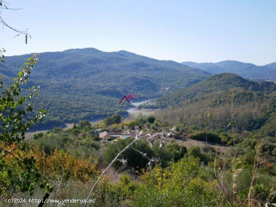  VENTA FINCA ZONA MULERA UBRIQUE - CADIZ 