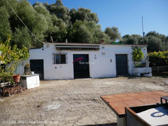 VENTA FINCA ZONA MULERA UBRIQUE - CADIZ