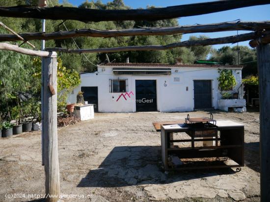 VENTA FINCA ZONA MULERA UBRIQUE - CADIZ