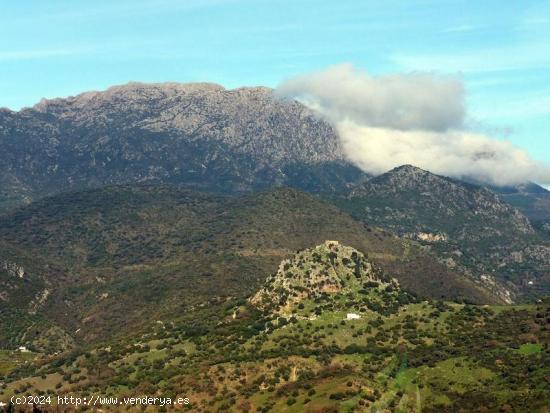 VENTA PARCELA ALREDEDORES DE EL BOSQUE - CADIZ