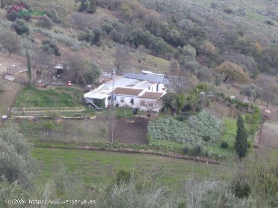 VENTA FINCA RÚSTICA CRTRA. EL BOSQUE - UBRIQUE - CADIZ