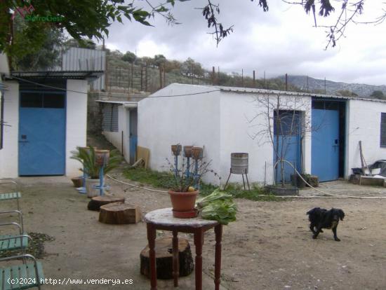 VENTA FINCA RÚSTICA CRTRA. EL BOSQUE - UBRIQUE - CADIZ