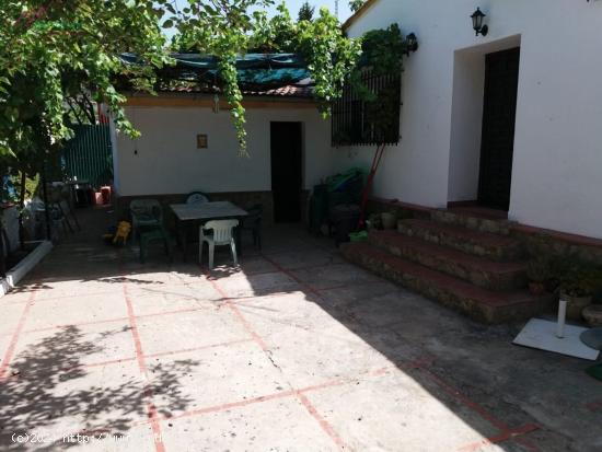 VENTA FINCA RÚSTICA  TAVIZNA - CADIZ