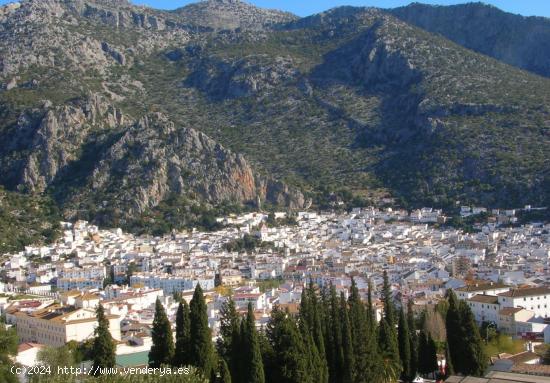 VENTA LOCAL COMERCIAL. ZONA CALLEJONES - CADIZ