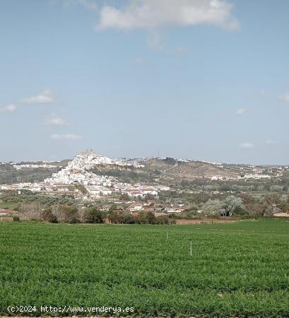  VENTA PARCELA ARCOS DE LA FRA. - CADIZ 