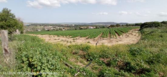 VENTA PARCELA ARCOS DE LA FRA. - CADIZ