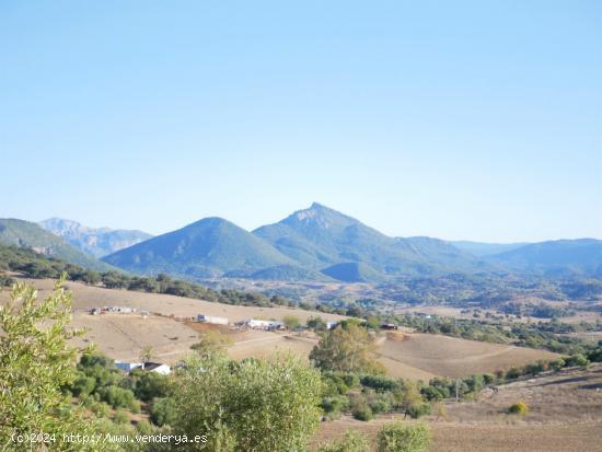 VENTA PARCELA PRADO DEL REY - CADIZ