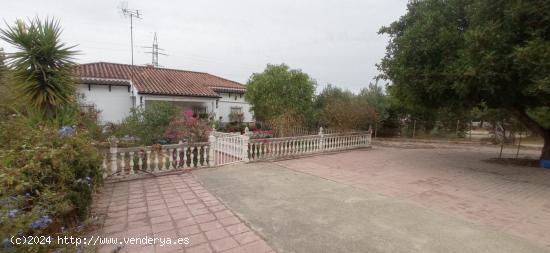 VENTA PARCELA CON CASA Y PISCINA. PRADO DEL REY - CADIZ