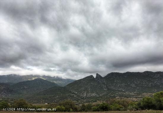 VENTA FINCA RÚSTICA. ALREDEDORES DE UBRIQUE. - CADIZ