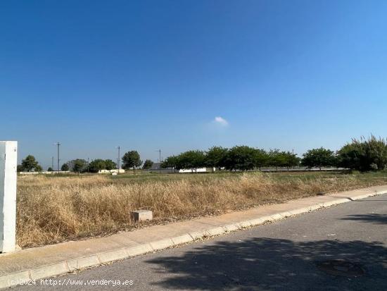 TERRENO URBANO EN ZONA ALMAZORA PLAYA - CASTELLON