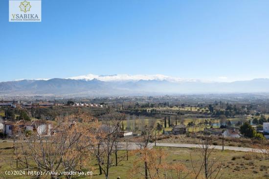 LA FINCA AL MEJOR PRECIO QUE ENCONTRARÁS EN PEDRO VERDE - GRANADA