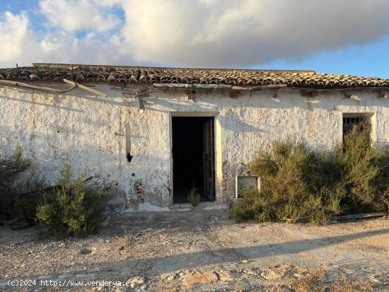 PARCELA 12000M CON CASA VIEJA EN LA ALGODA ELCHE - ALICANTE