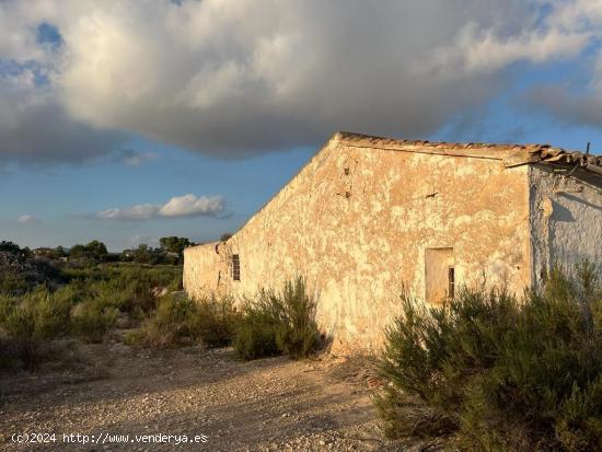 PARCELA 12000M CON CASA VIEJA EN LA ALGODA ELCHE - ALICANTE