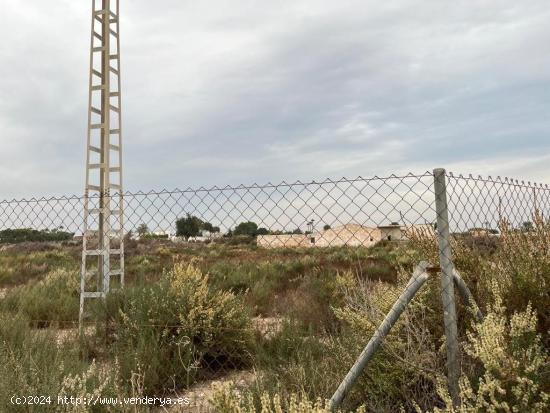 PARCELA 12000M CON CASA VIEJA EN LA ALGODA ELCHE - ALICANTE