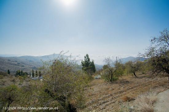 Finca rustica en Sorvilan - GRANADA