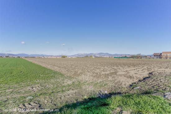 FINCA RUSTICA EN CÚLLAR VEGA - GRANADA